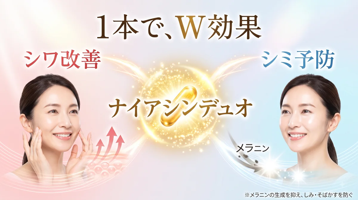 シワ改善・シミ予防のW効果を示す図解